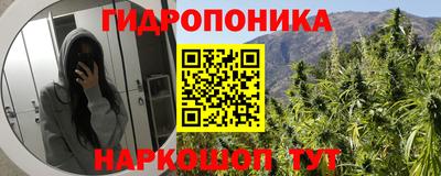 гашиш Новодвинск