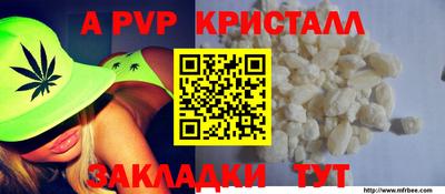 стаф Новозыбков