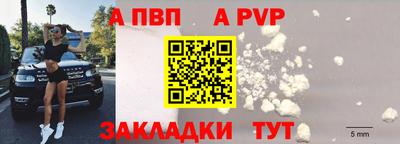 стаф Новозыбков