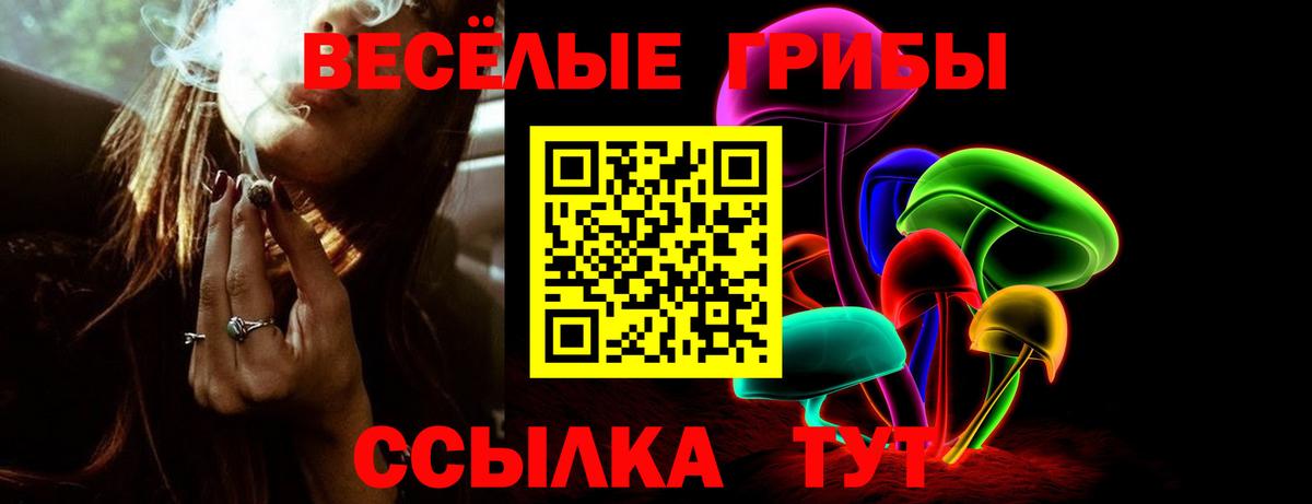 Галлюциногенные грибы MAGIC MUSHROOMS  Вход с VPN  где купить наркоту  Стрежевой  Псилоцибиновые грибы прущие грибы 